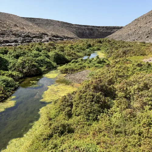 IMG_4322barranco los molinos trail_result